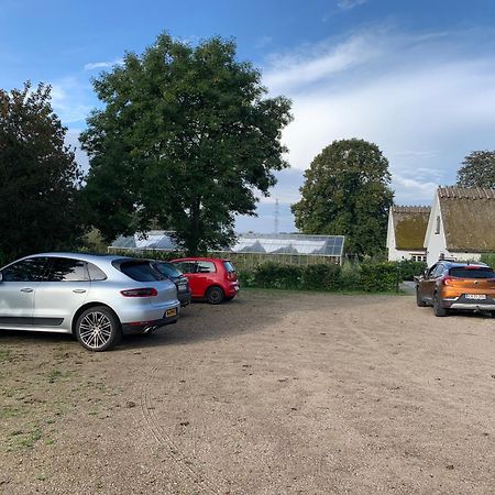 Mariegaardens Gaestehuse Hillerød Eksteriør bilde