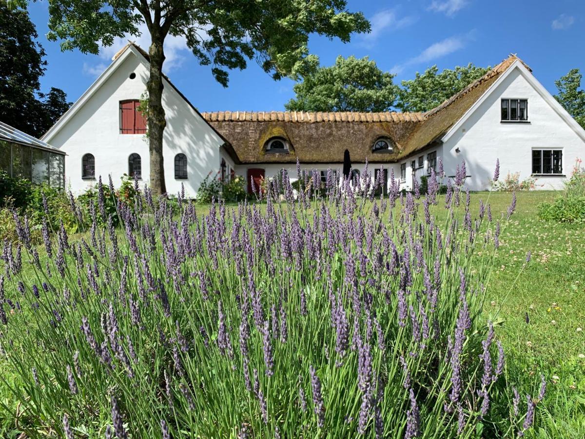 Mariegaardens Gaestehuse Hillerød Eksteriør bilde