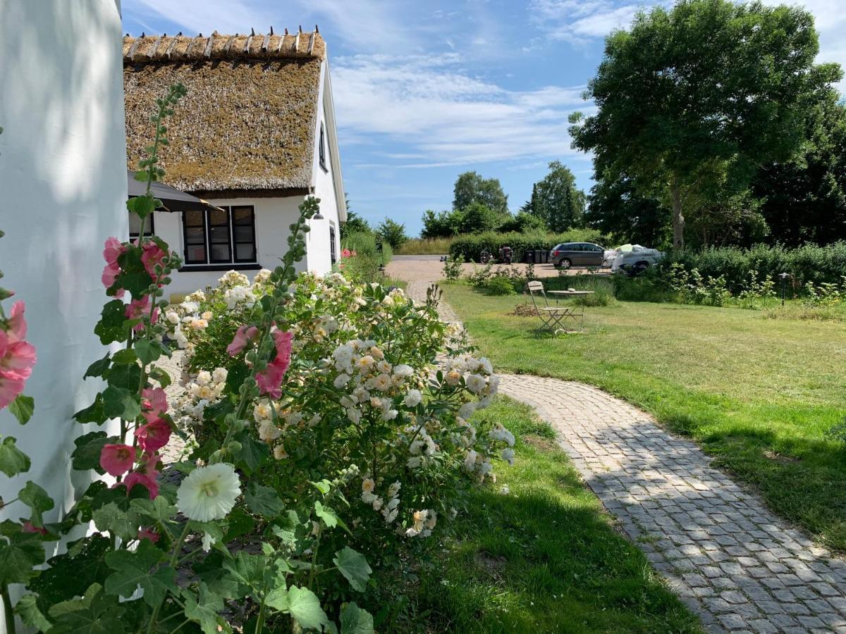 Mariegaardens Gaestehuse Hillerød Eksteriør bilde