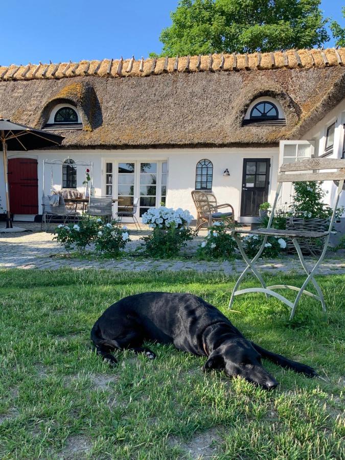 Mariegaardens Gaestehuse Hillerød Eksteriør bilde